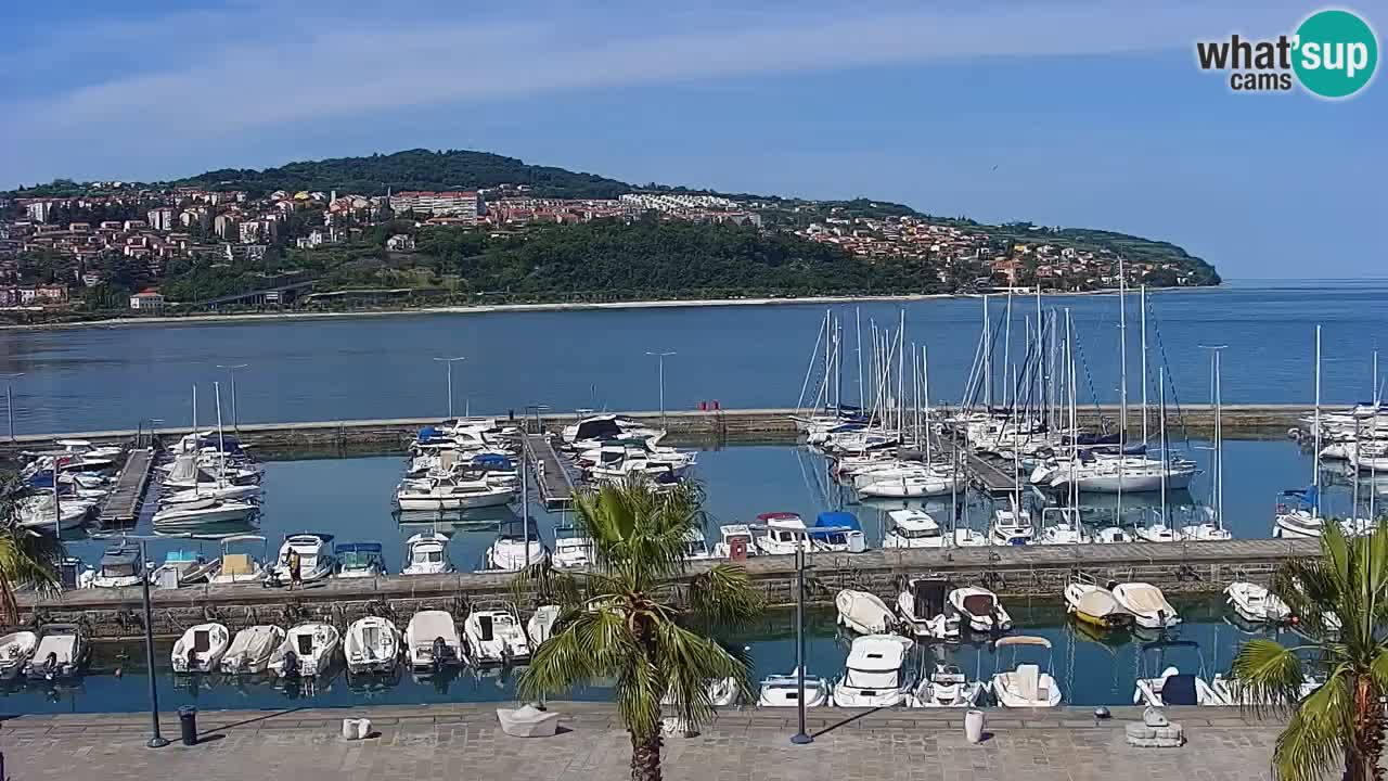 Camera en vivo Koper – puerto deportivo y paseo marítimo desde el Hotel Grand Koper