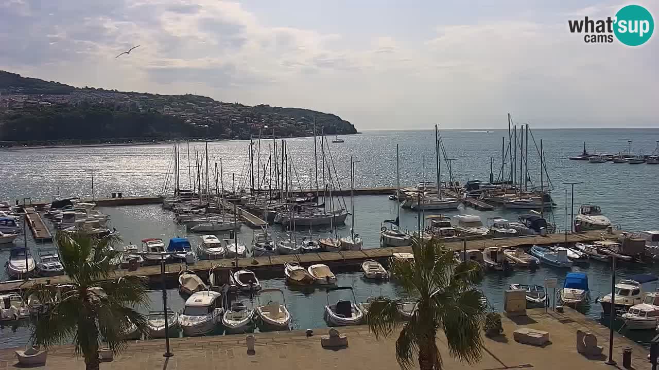Web kamera Koper – marina i promenada – hotel Grand Koper