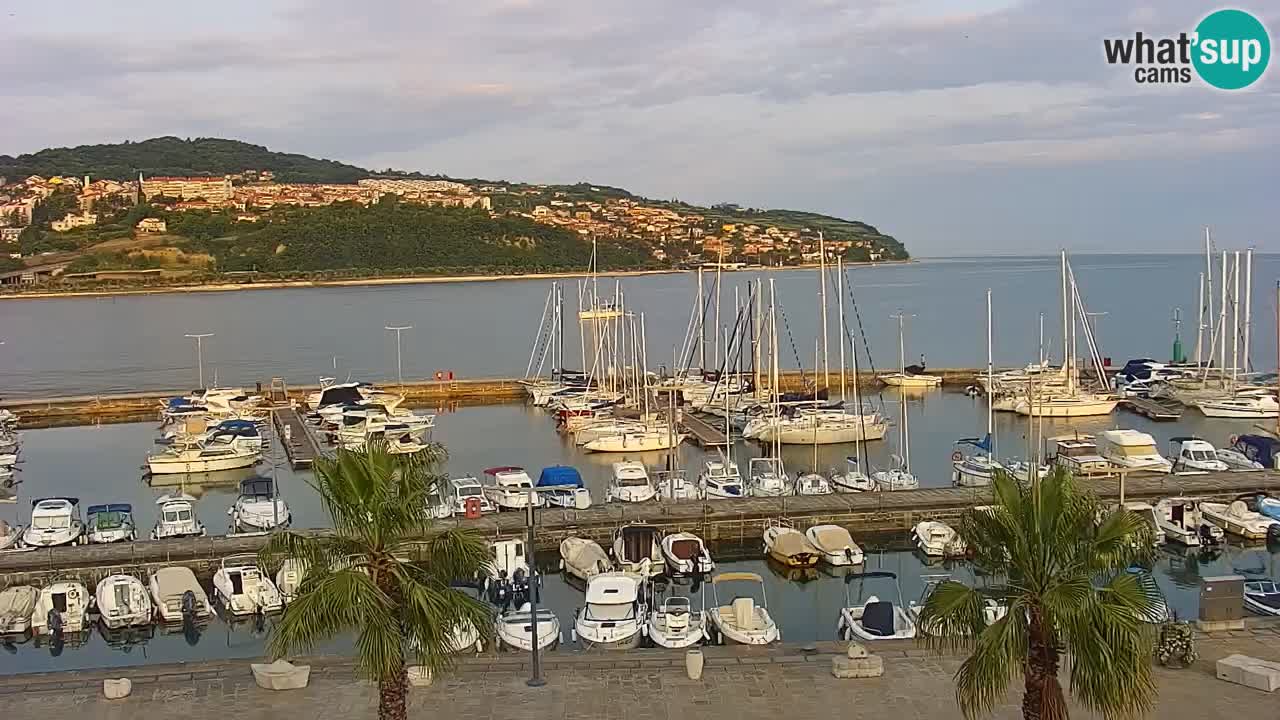 The Port of Koper live webcam – cruise and cargo port – Slovenia
