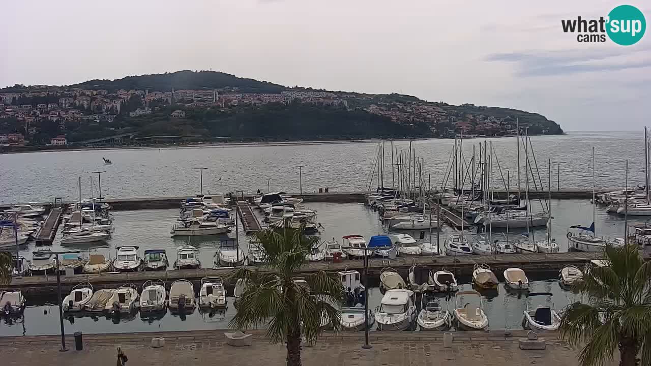 The Port of Koper live webcam – cruise and cargo port – Slovenia