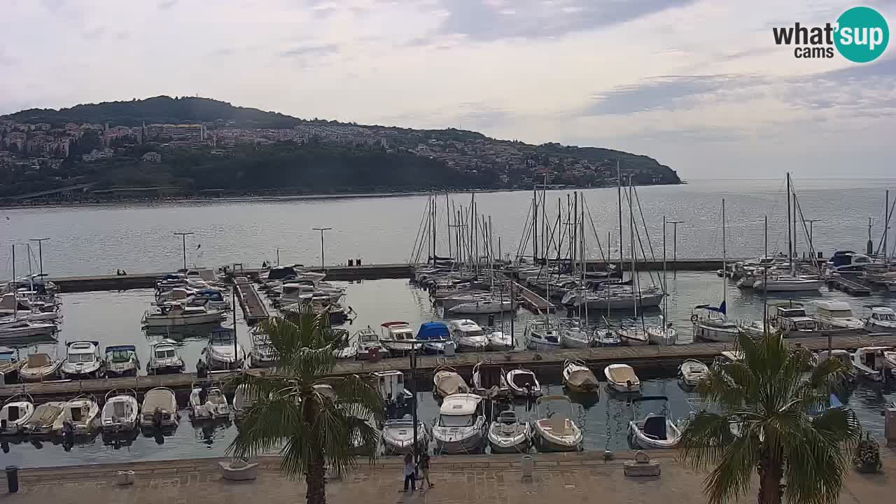 Der Hafen von Koper Live-Webcam – Kreuzfahrt- und Frachthafen – Slowenien
