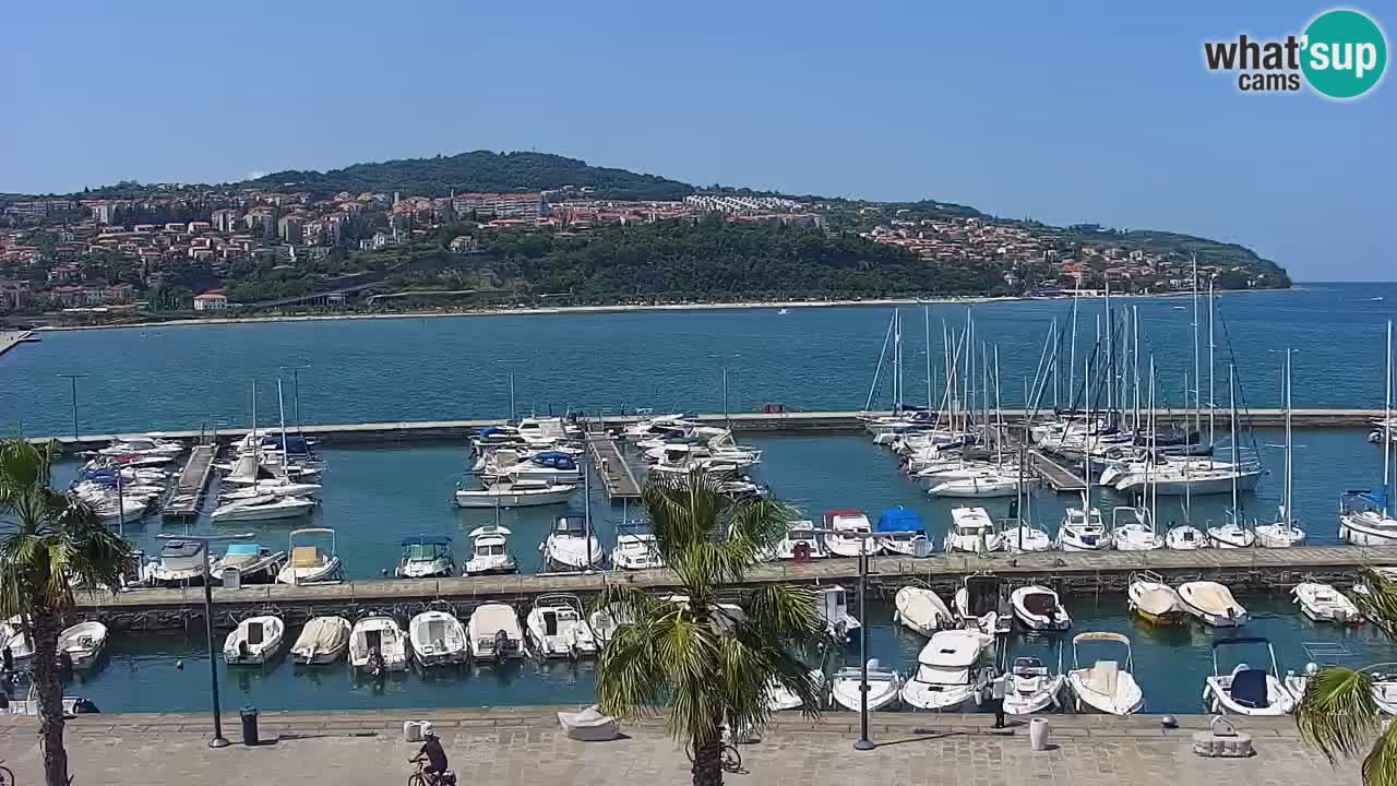 Livecam Koper – Ukmarjev trg