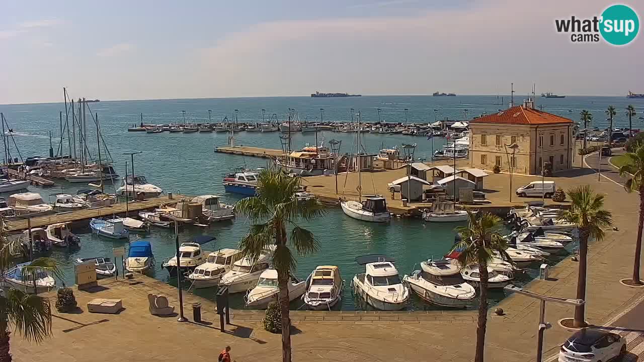 Web kamera Koper – marina i promenada – hotel Grand Koper