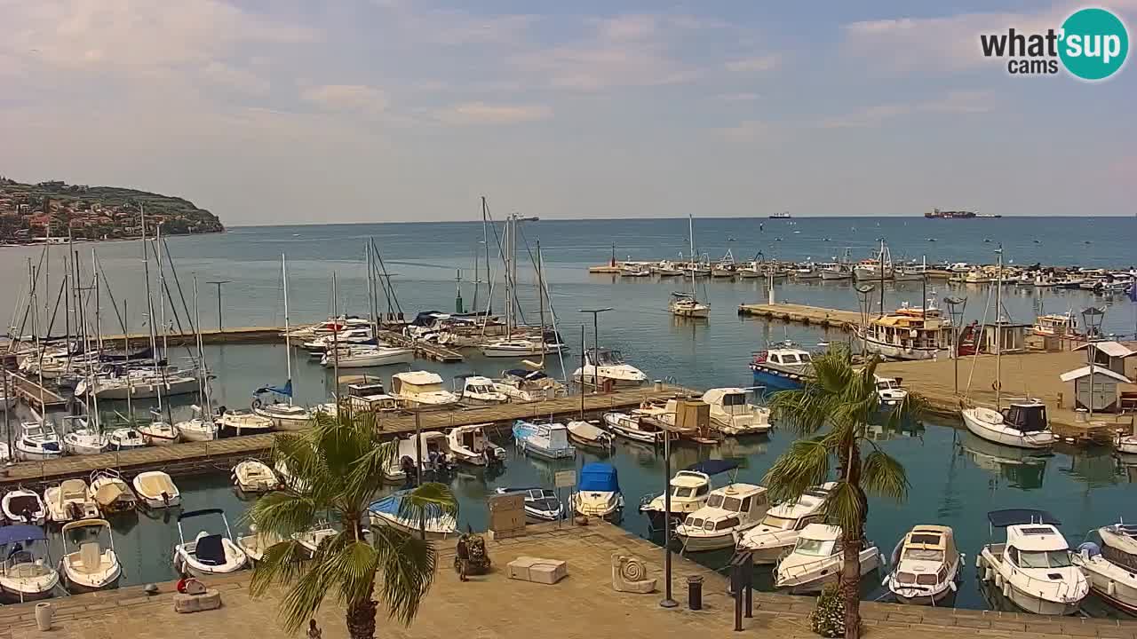 Camera en vivo Koper – puerto deportivo y paseo marítimo desde el Hotel Grand Koper
