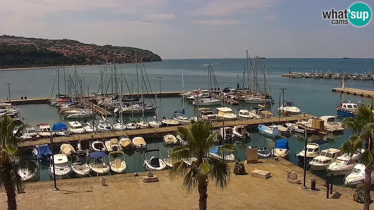 Webcam Koper – Panorama des Jachthafens und der Promenade vom Hotel Grand Koper