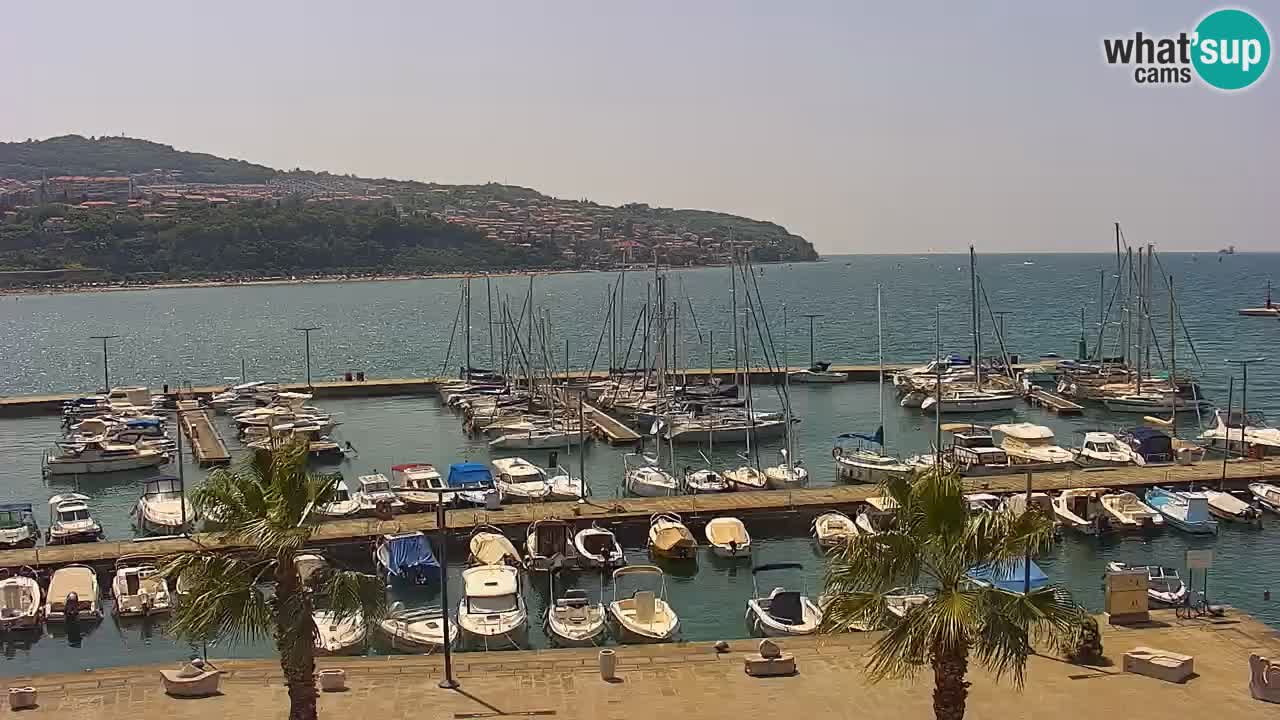 Webcam Capodistria – marina e lungo mare dall’Hotel Grand Koper