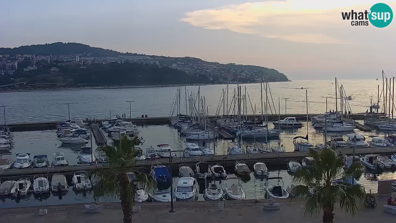 Livecam Koper – Ukmarjev trg