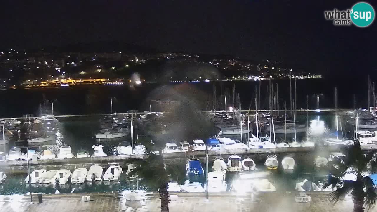 Livecam Koper – Ukmarjev trg