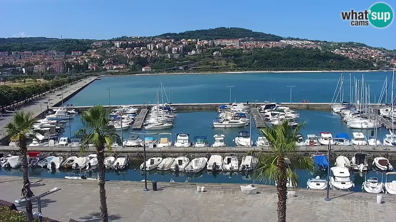 Luka Kopar uživo web kamera – Turistički terminal i teretna luka – Slovenija