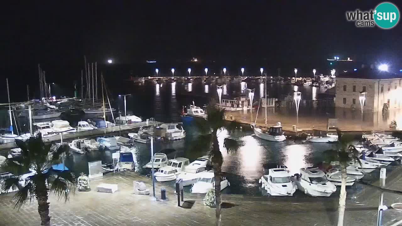 Live cam Koper – Ukmarjev trg