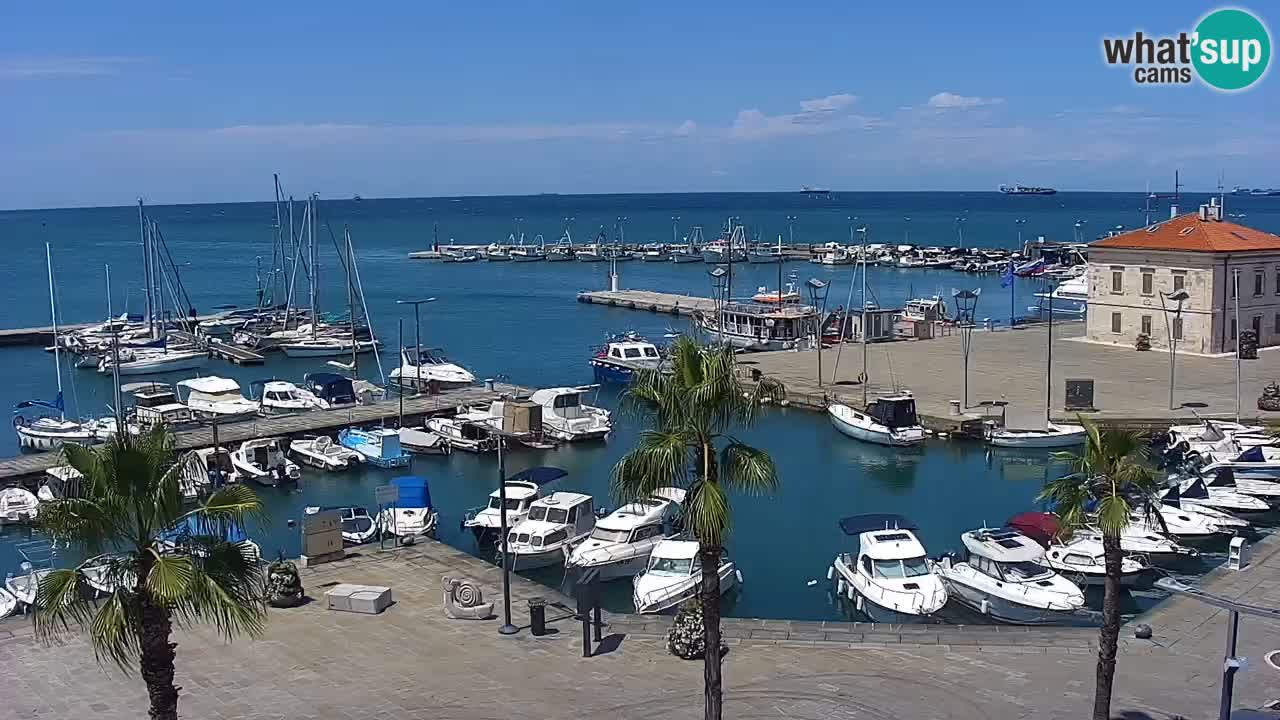 Webcam Koper – Panorama des Jachthafens und der Promenade vom Hotel Grand Koper