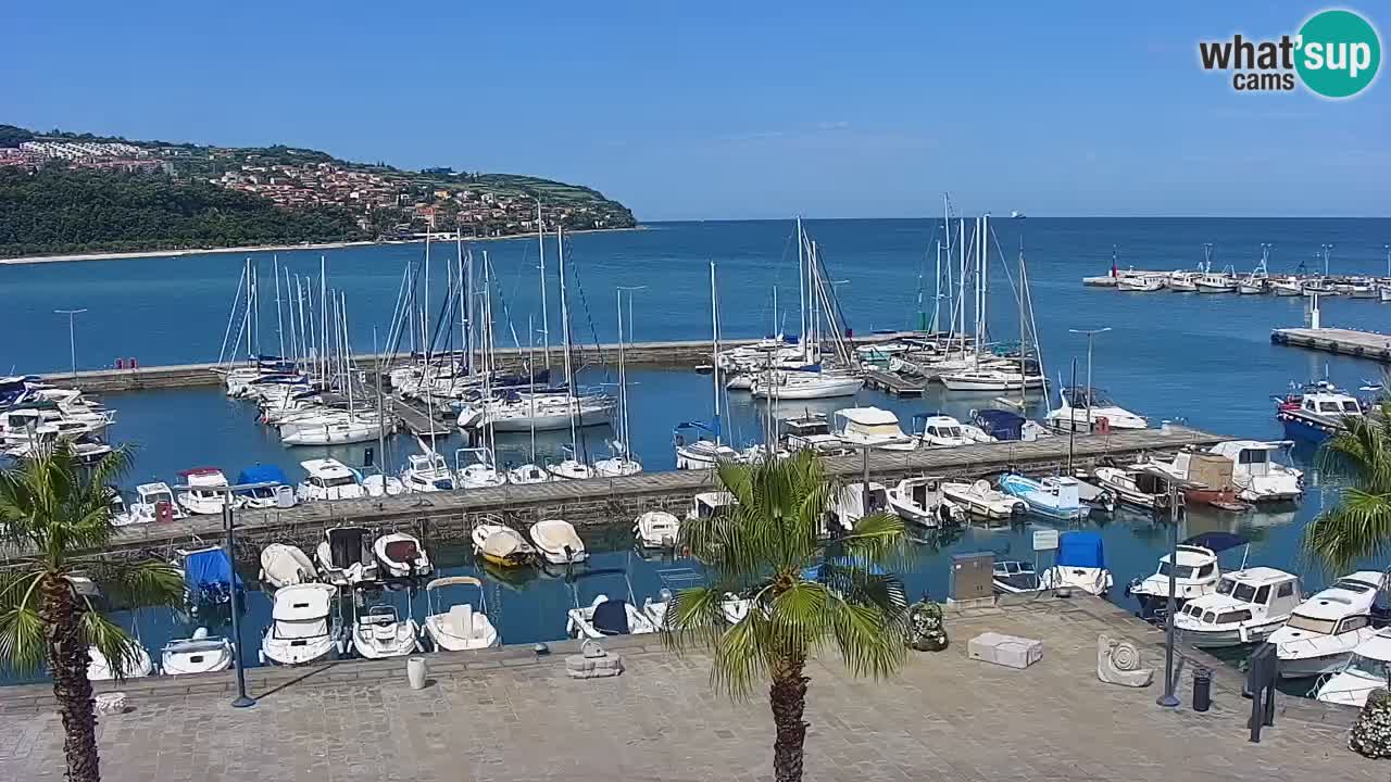 The Port of Koper live webcam – cruise and cargo port – Slovenia