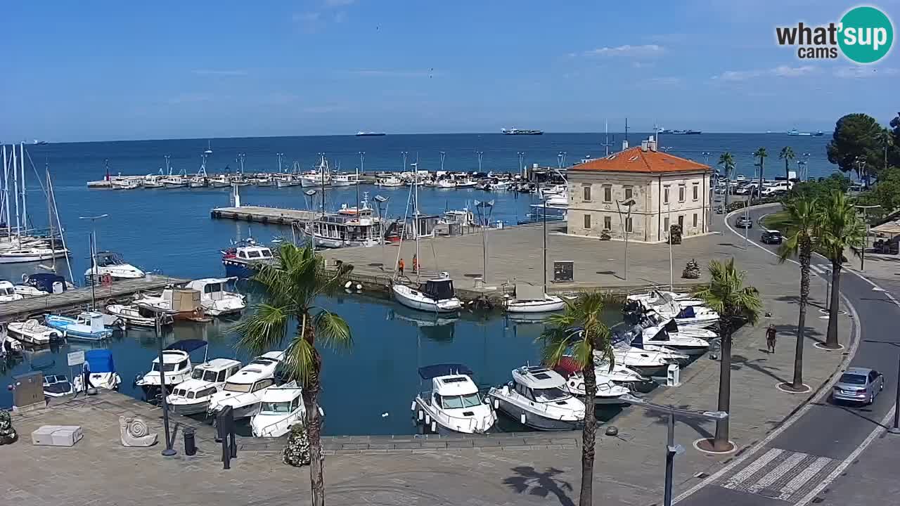 Der Hafen von Koper Live-Webcam – Kreuzfahrt- und Frachthafen – Slowenien