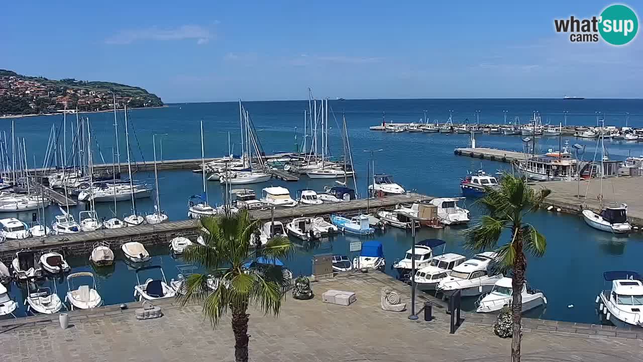 Spletna kamera Koper – Panorama na marino in promenado s Hotela Grand Koper