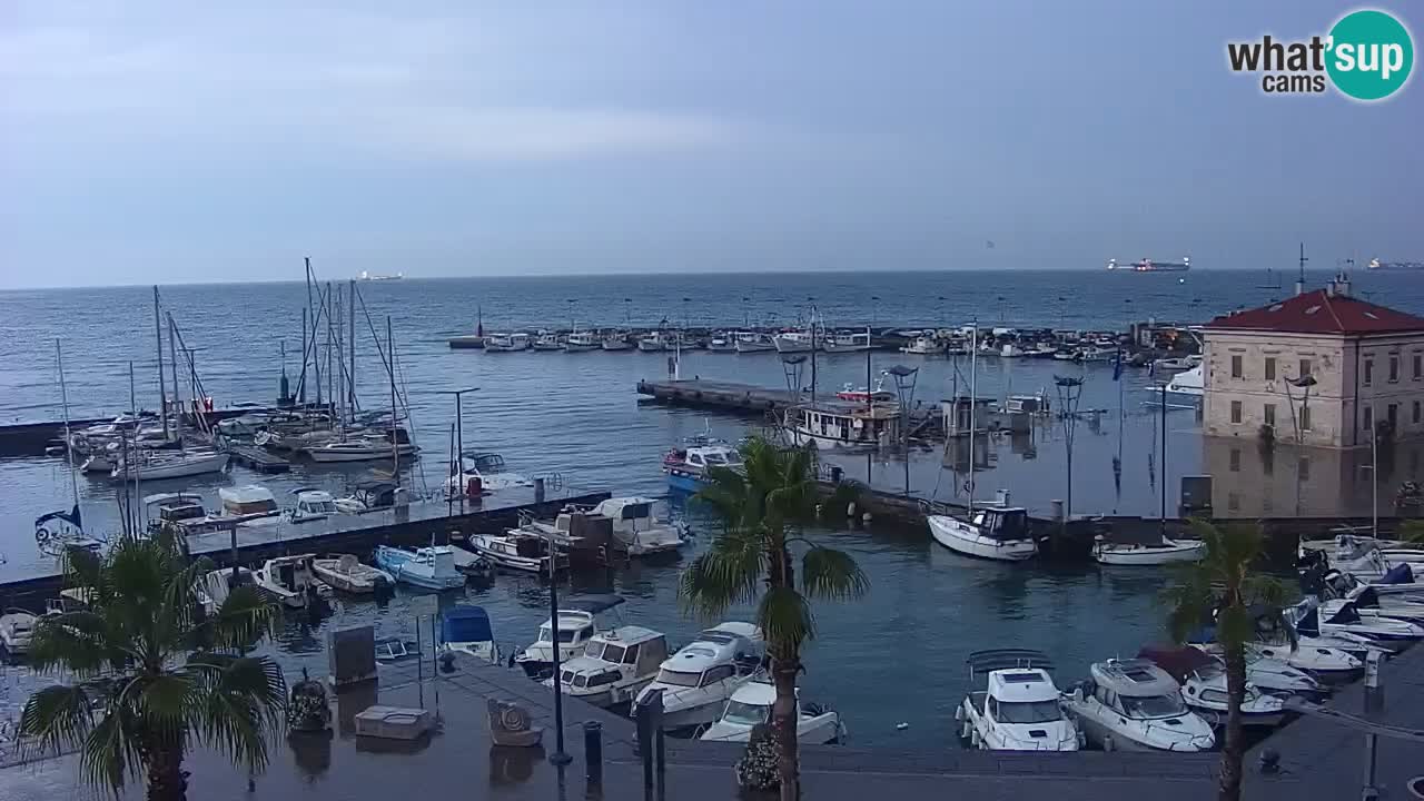 Der Hafen von Koper Live-Webcam – Kreuzfahrt- und Frachthafen – Slowenien