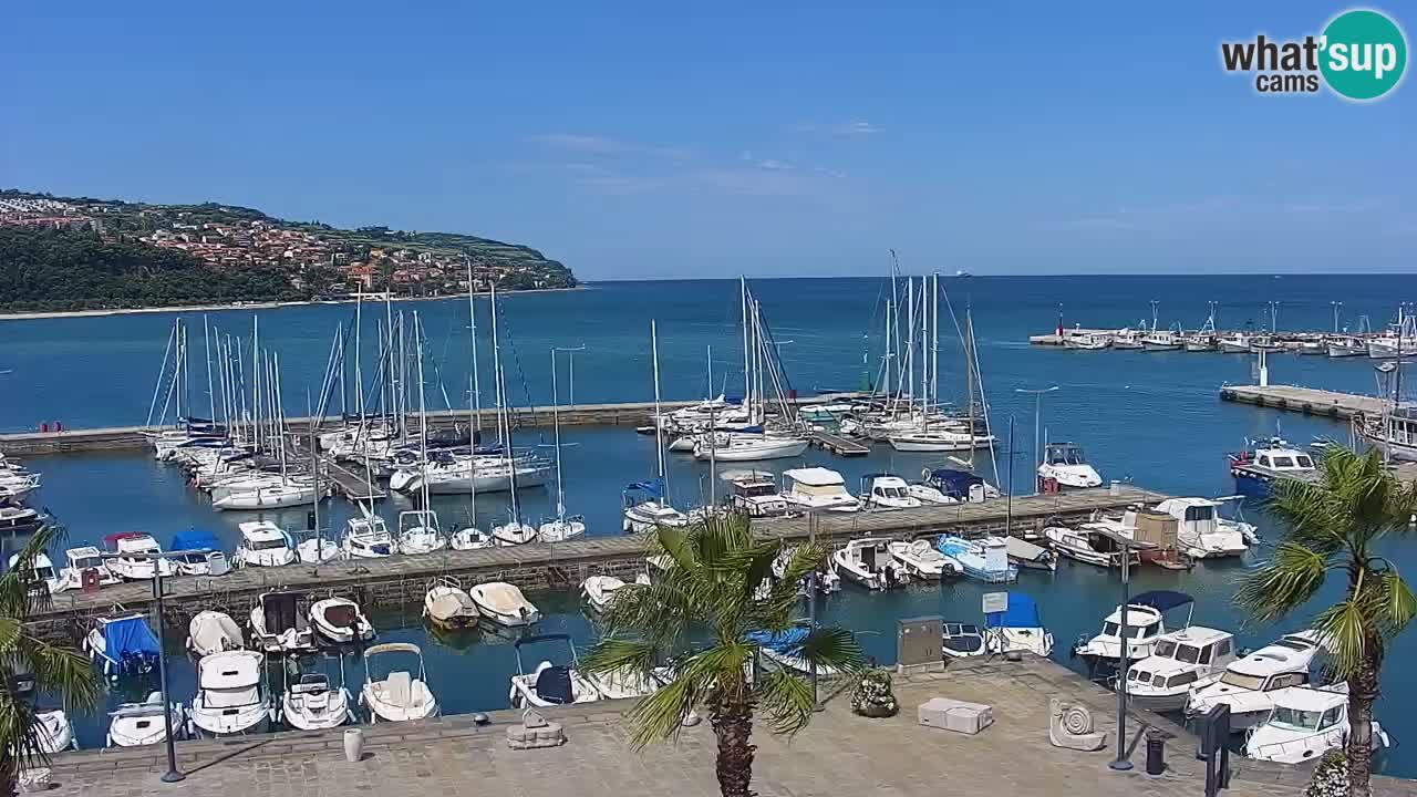 Spletna kamera Koper – Panorama na marino in promenado s Hotela Grand Koper