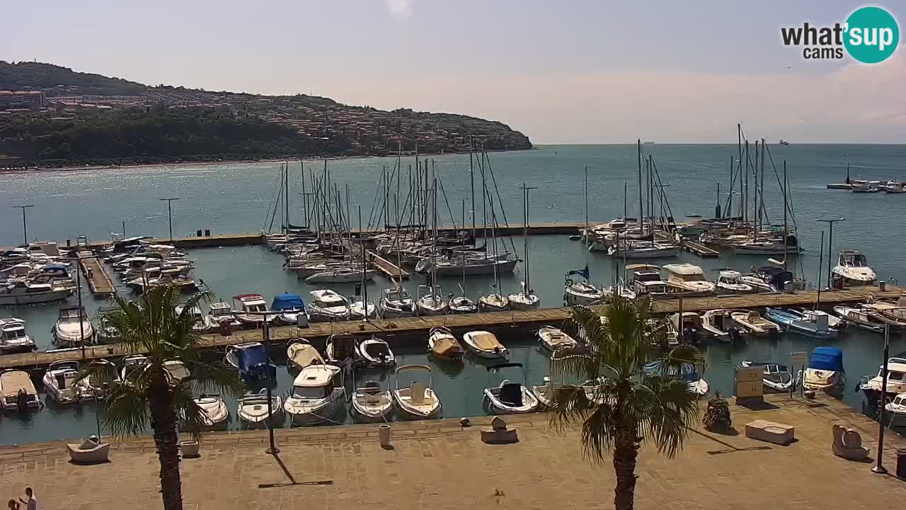 Webcam en vivo del Puerto de Koper – puerto de carga y cruceros – Eslovenia