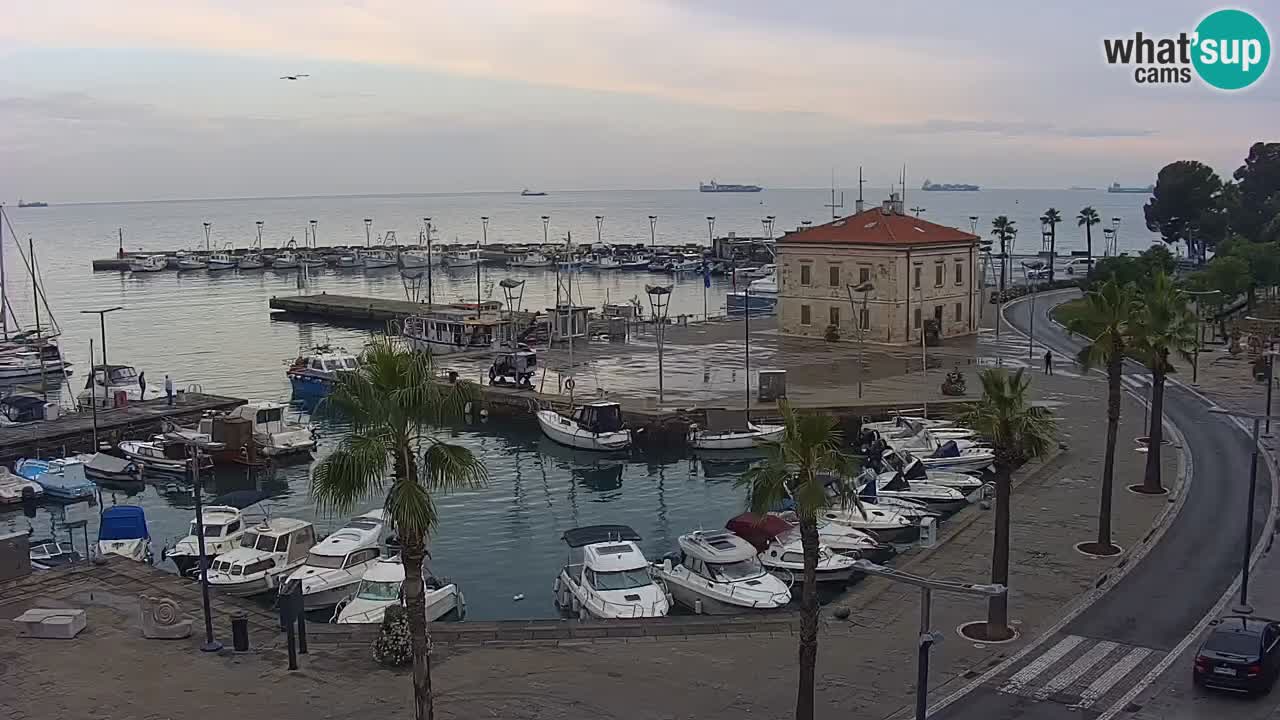 Webcam en direct du port de Koper – port de croisière et de fret – Slovénie