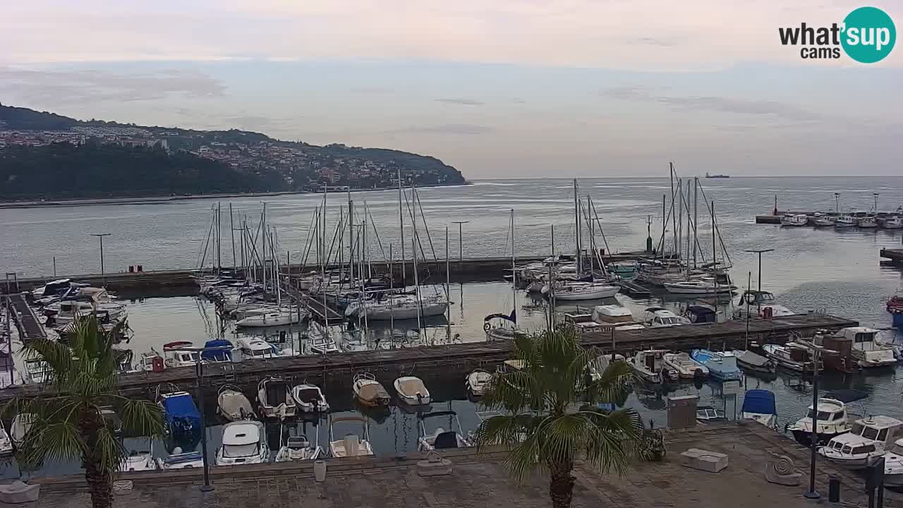 Spletna kamera Luka Koper v živo – Potniški terminal in tovorno pristanišče – Slovenija