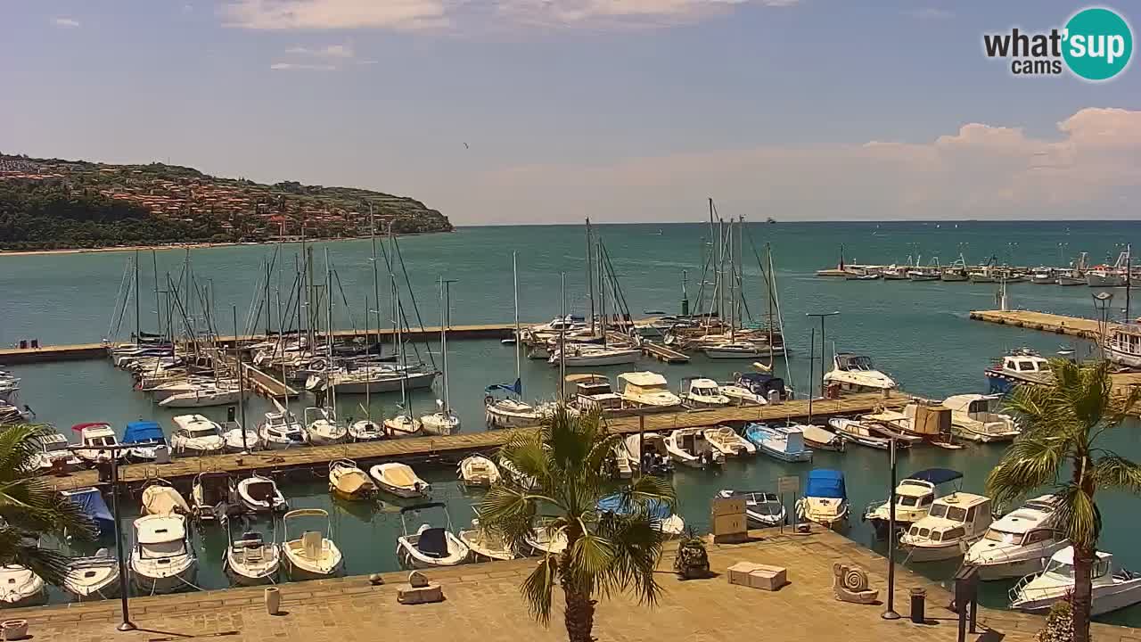The Port of Koper live webcam – cruise and cargo port – Slovenia