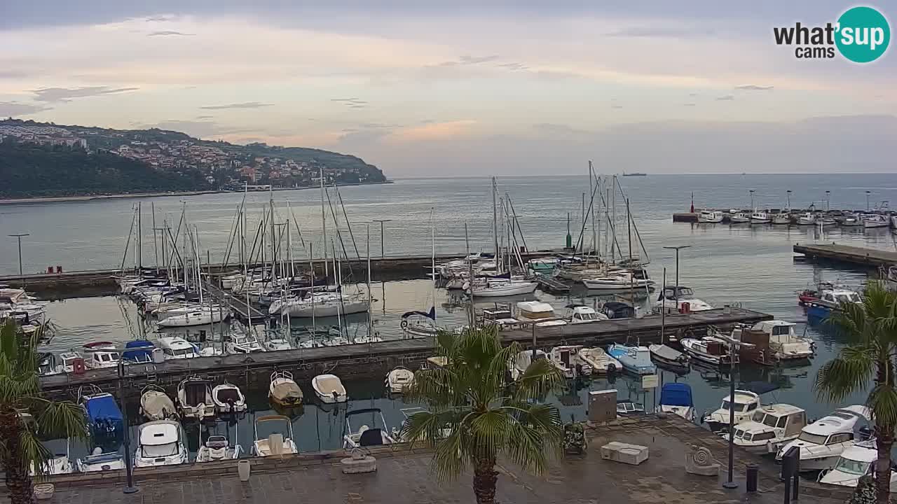 Webcam Capodistria – Piazza Ukmar