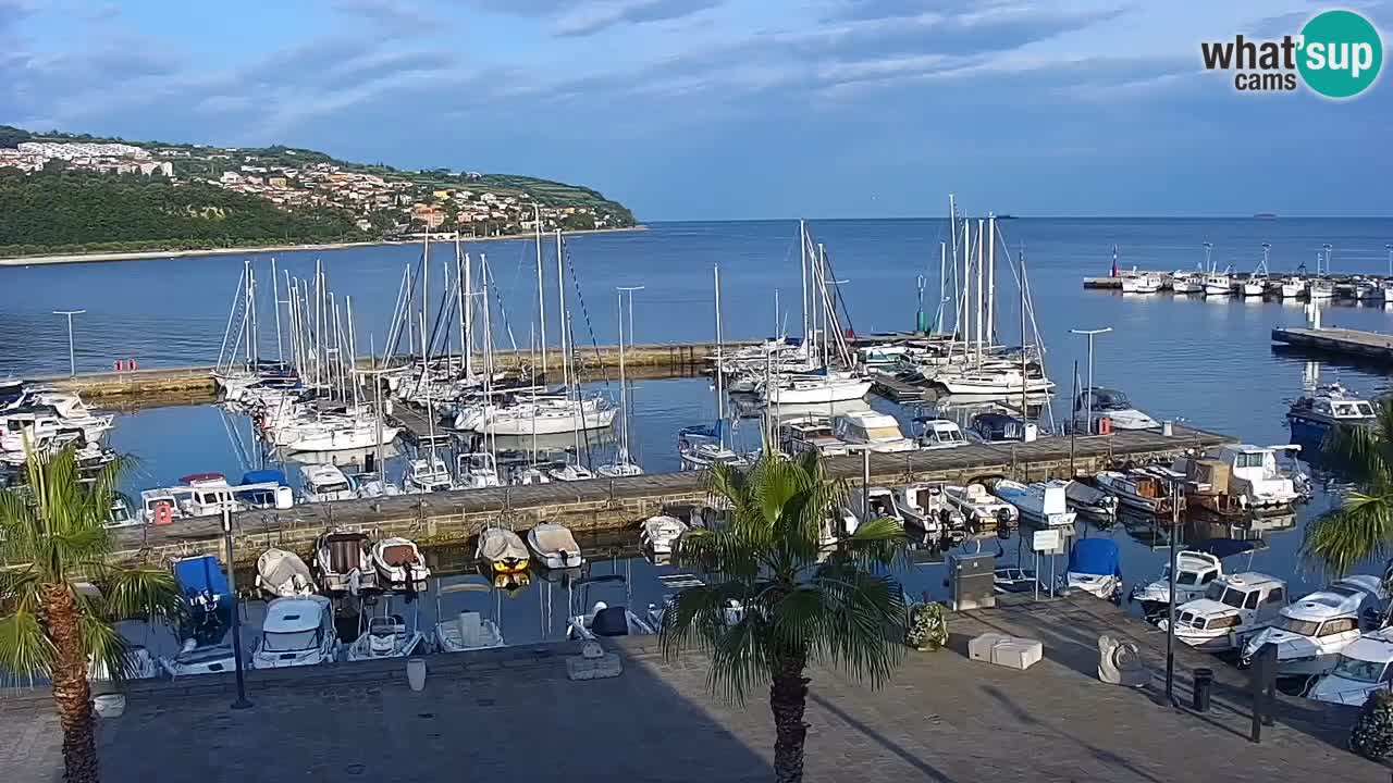 Webcam en direct du port de Koper – port de croisière et de fret – Slovénie