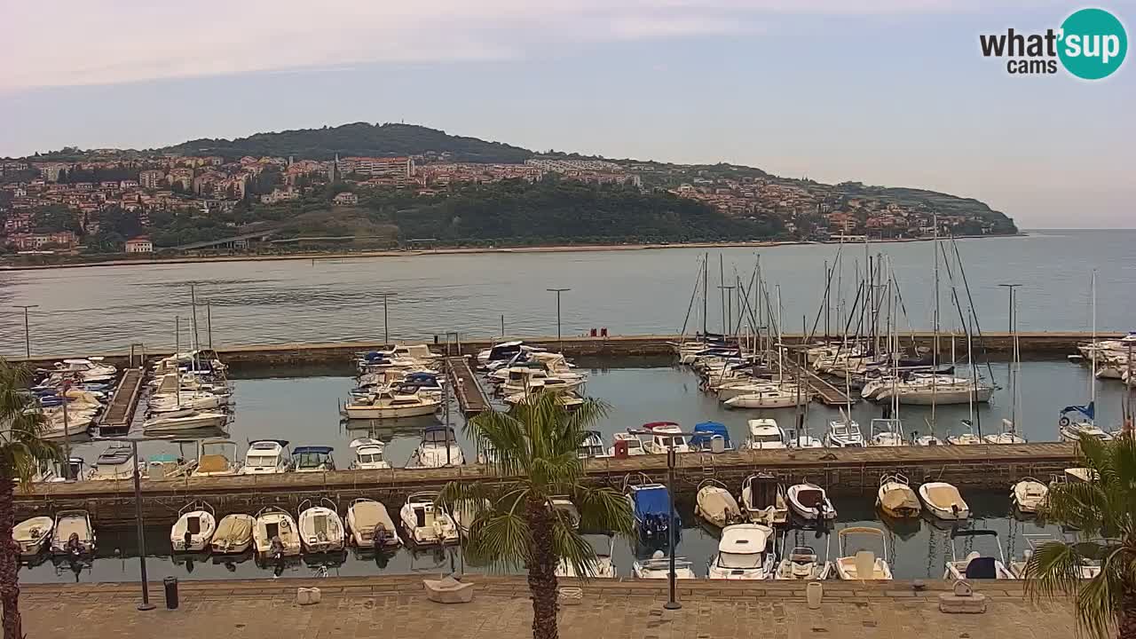 The Port of Koper live webcam – cruise and cargo port – Slovenia