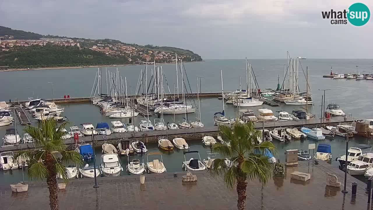 Webcam Koper – Ukmarjev trg