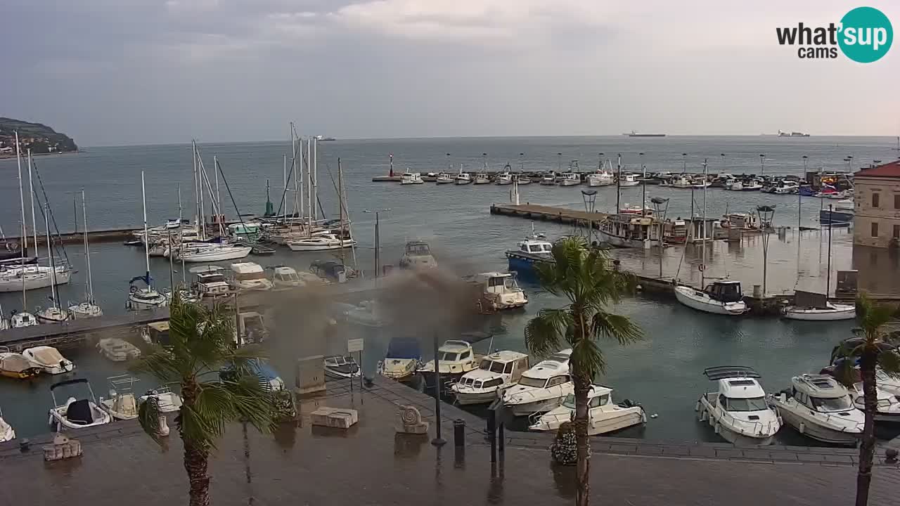 Webcam Capodistria – Piazza Ukmar