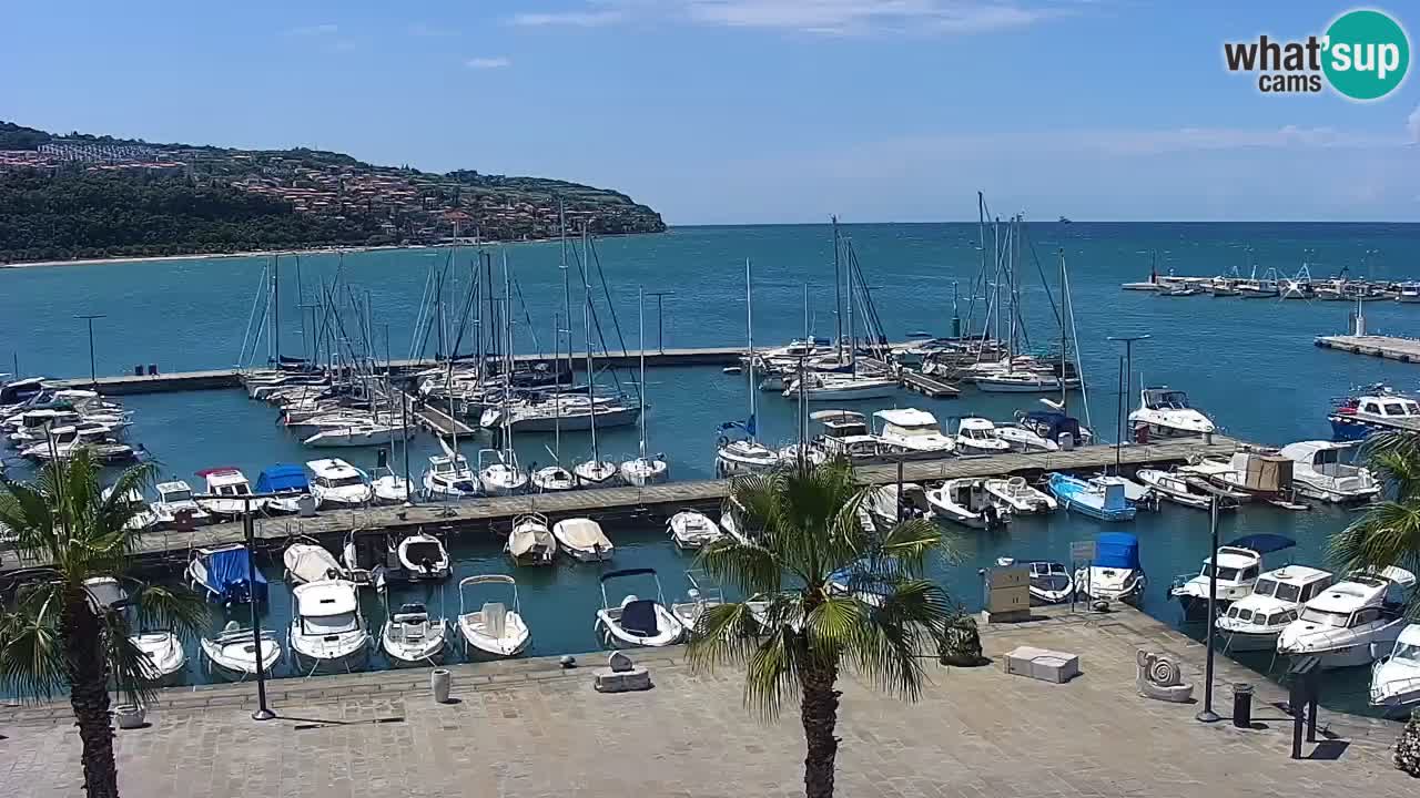 Webcam Koper – Panorama de la marina et de la promenade depuis le Grand Hotel Koper