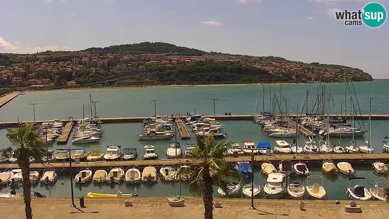 Webcam Koper – Panorama des Jachthafens und der Promenade vom Hotel Grand Koper
