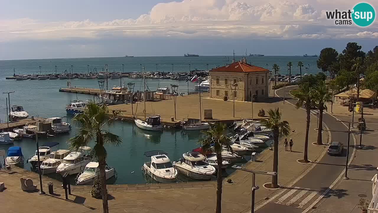 Live cam Koper – Ukmarjev trg