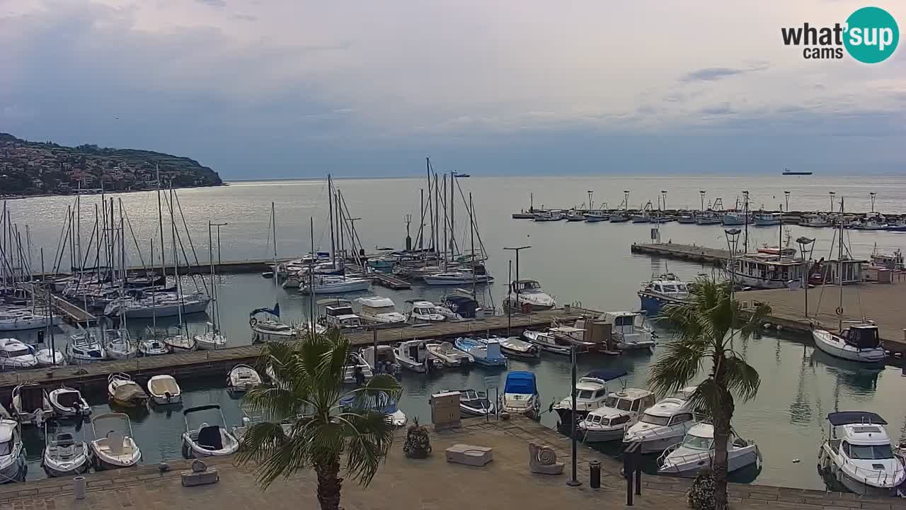 Camera en vivo Koper – puerto deportivo y paseo marítimo desde el Hotel Grand Koper