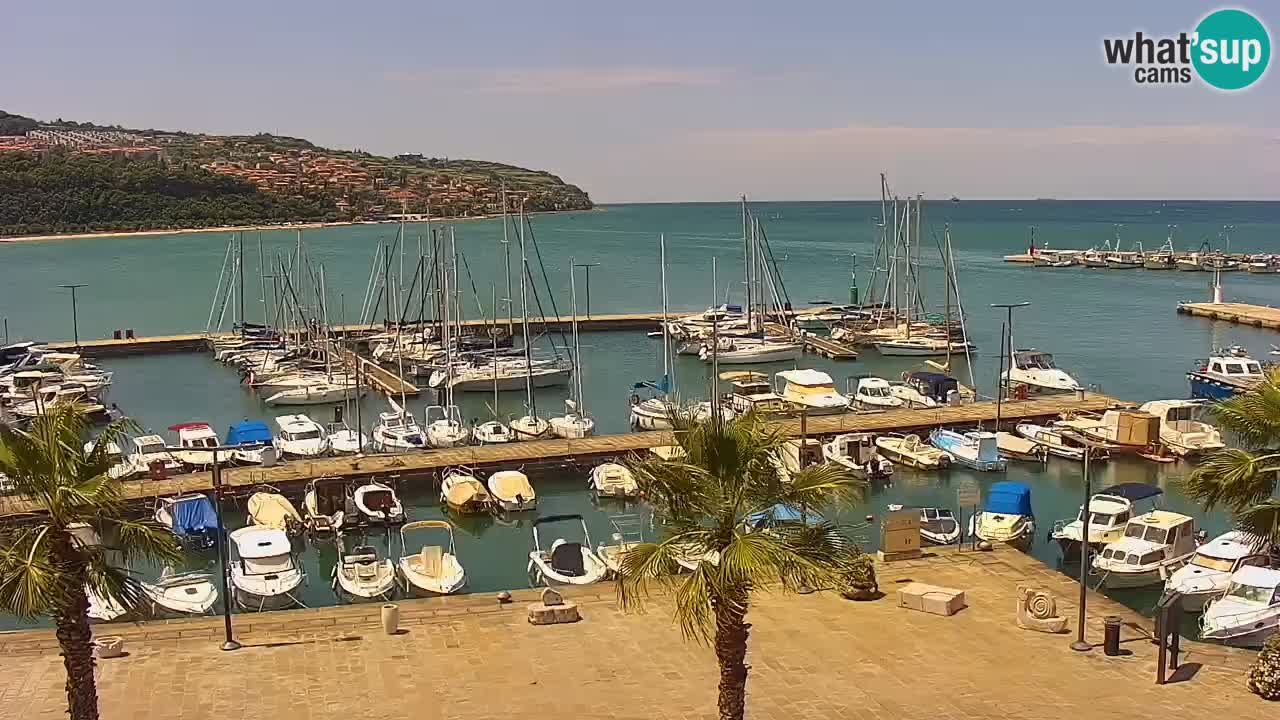 Webcam Koper – Panorama de la marina et de la promenade depuis le Grand Hotel Koper