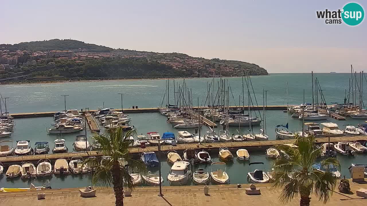 Webcam Koper – Panorama de la marina et de la promenade depuis le Grand Hotel Koper