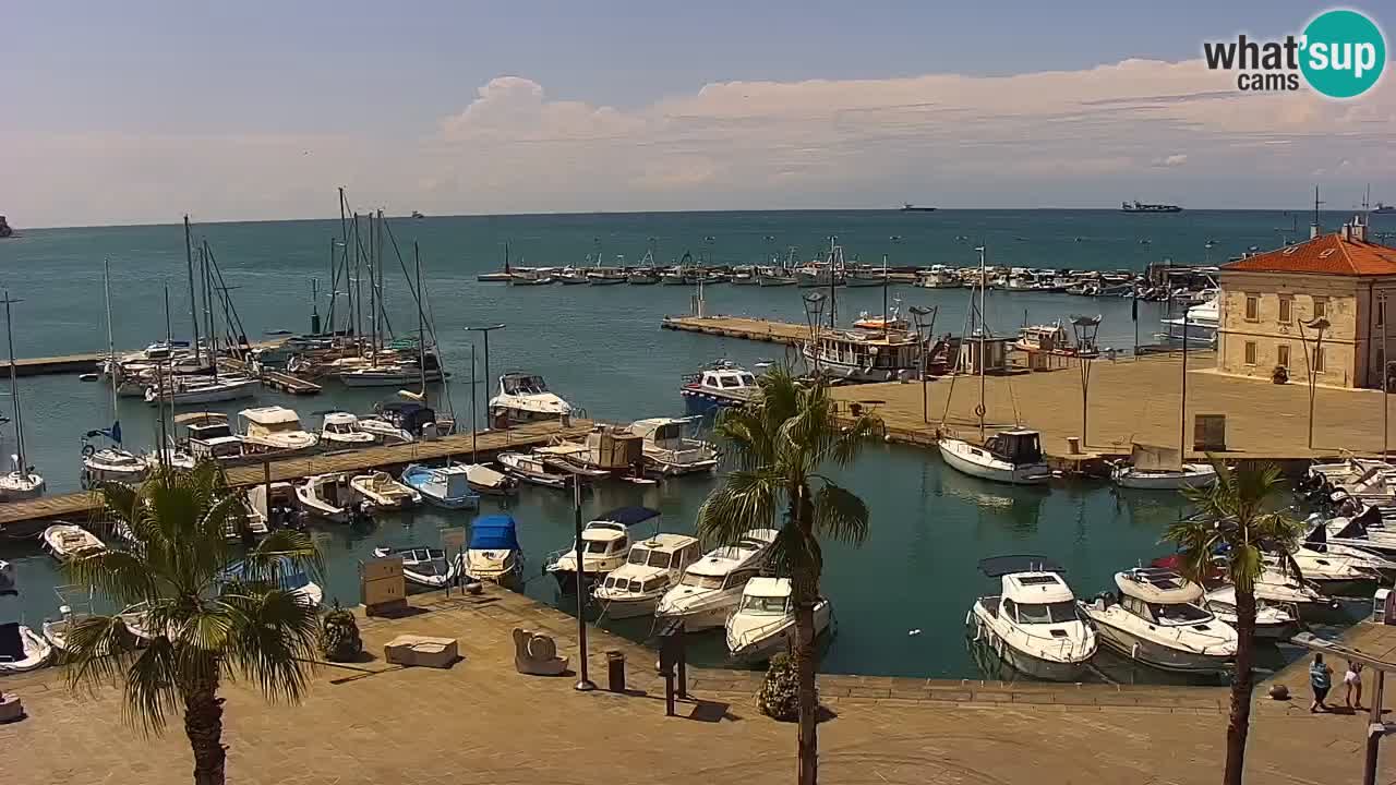 Webcam Koper – Panorama of the marina and promenade from the Grand Hotel Koper