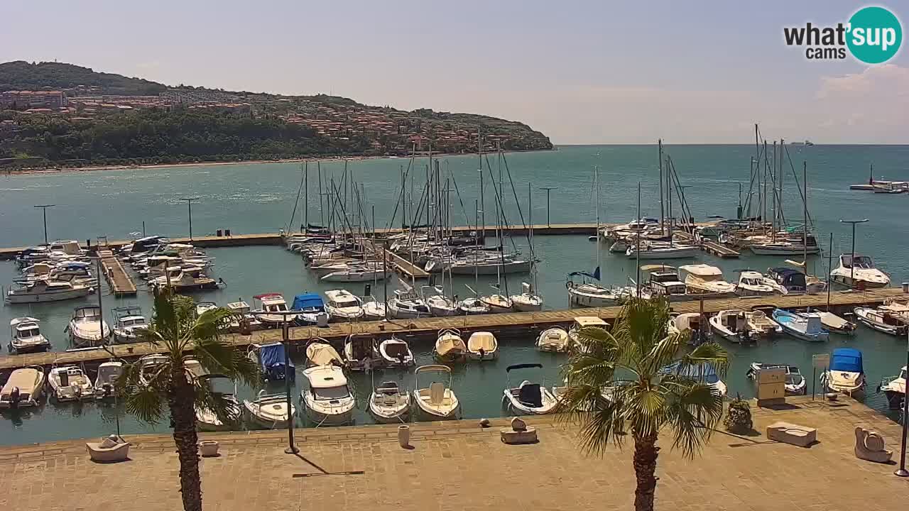 Der Hafen von Koper Live-Webcam – Kreuzfahrt- und Frachthafen – Slowenien