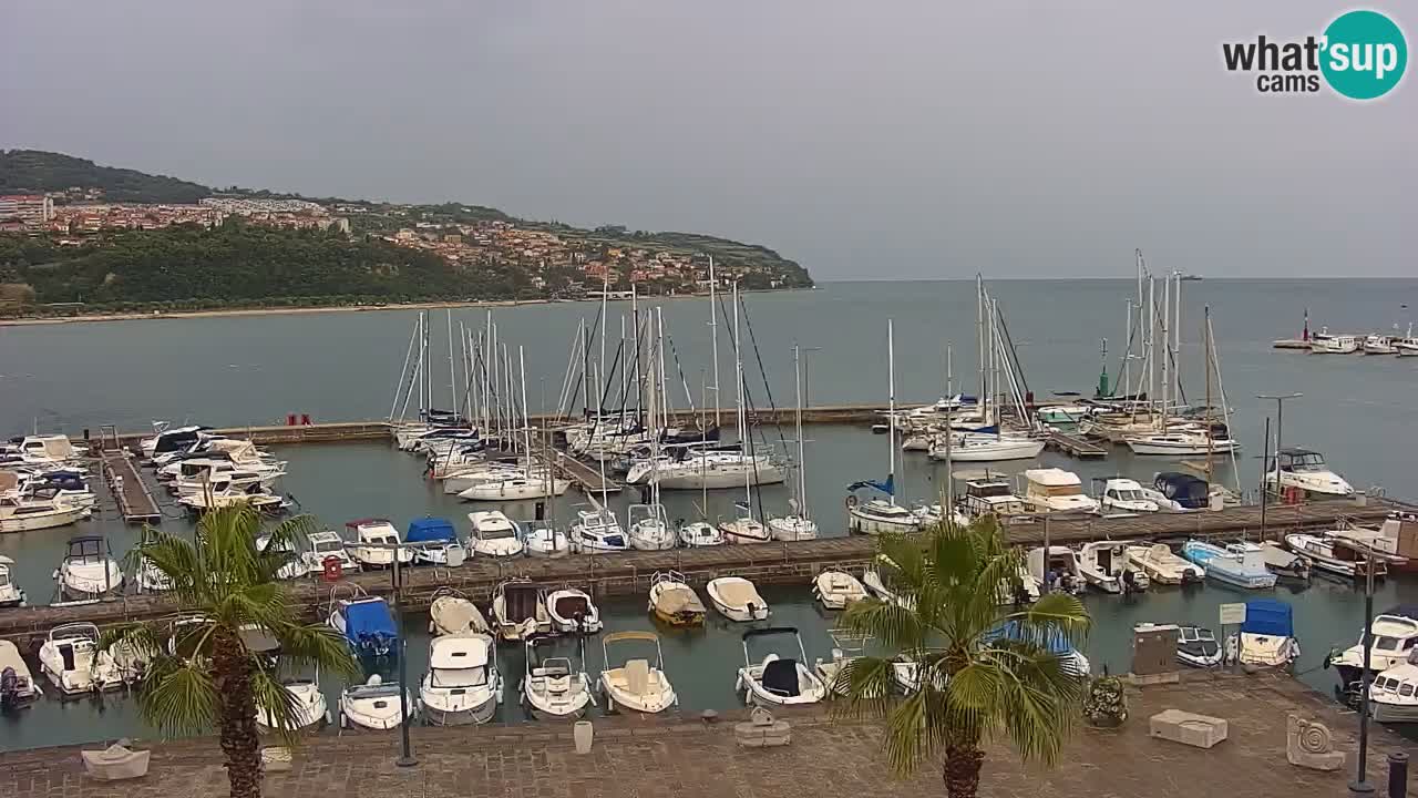 Camera en Vivo Koper – Ukmarjev trg