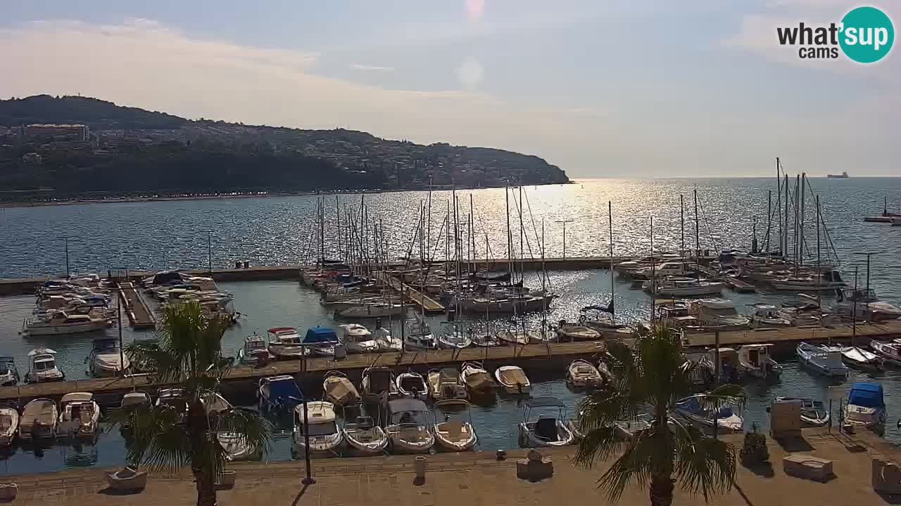 Livecam Koper – Ukmarjev trg