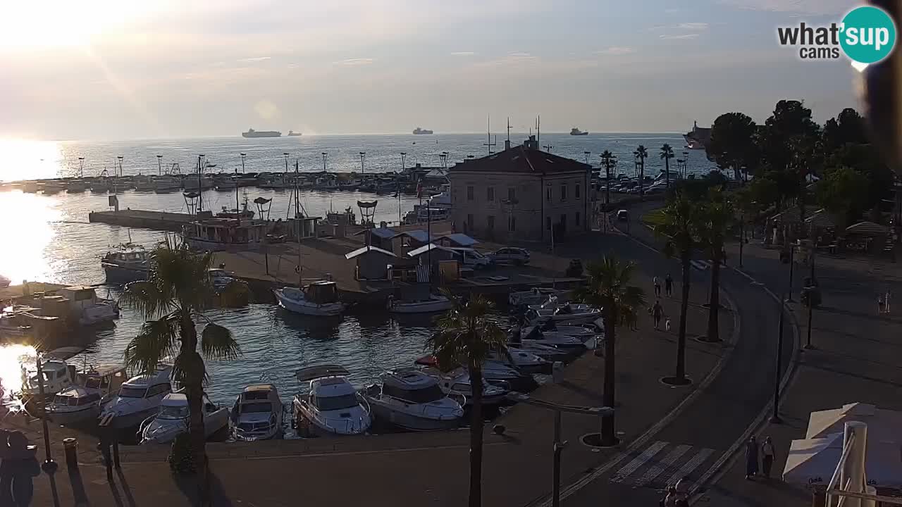 Livecam Koper – Ukmarjev trg