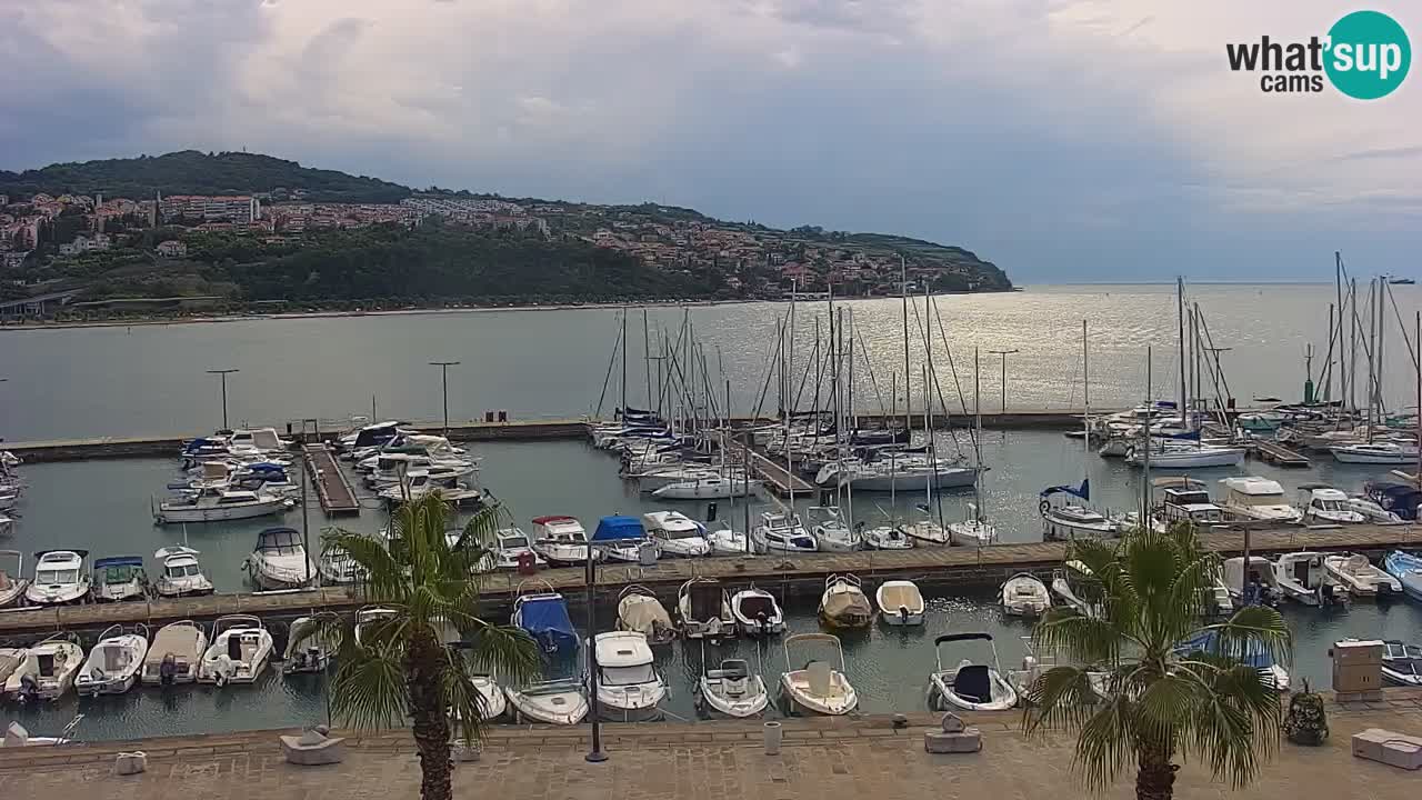 Spletna kamera Koper – Panorama na marino in promenado s Hotela Grand Koper