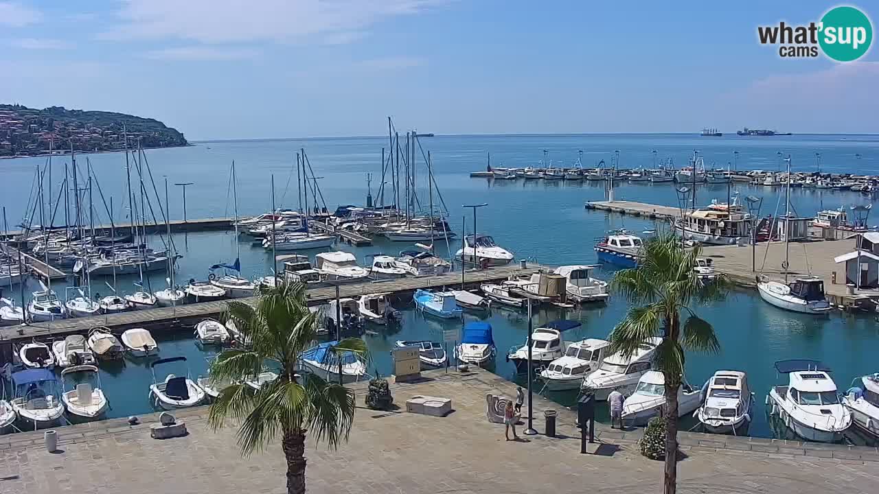 Webcam Koper – Panorama des Jachthafens und der Promenade vom Hotel Grand Koper