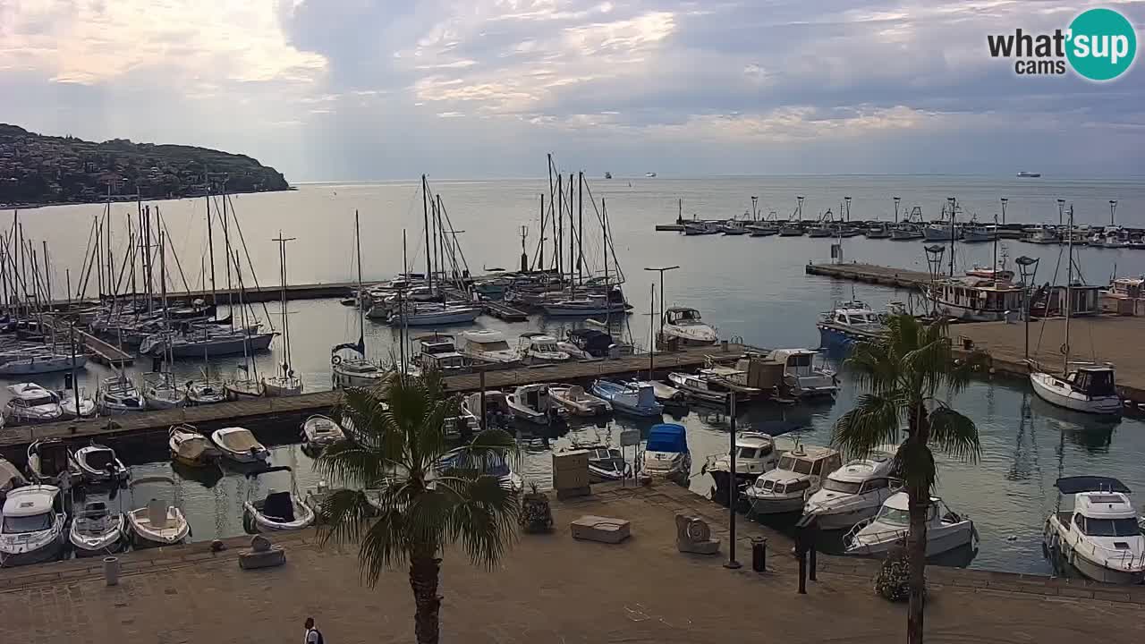 The Port of Koper live webcam – cruise and cargo port – Slovenia