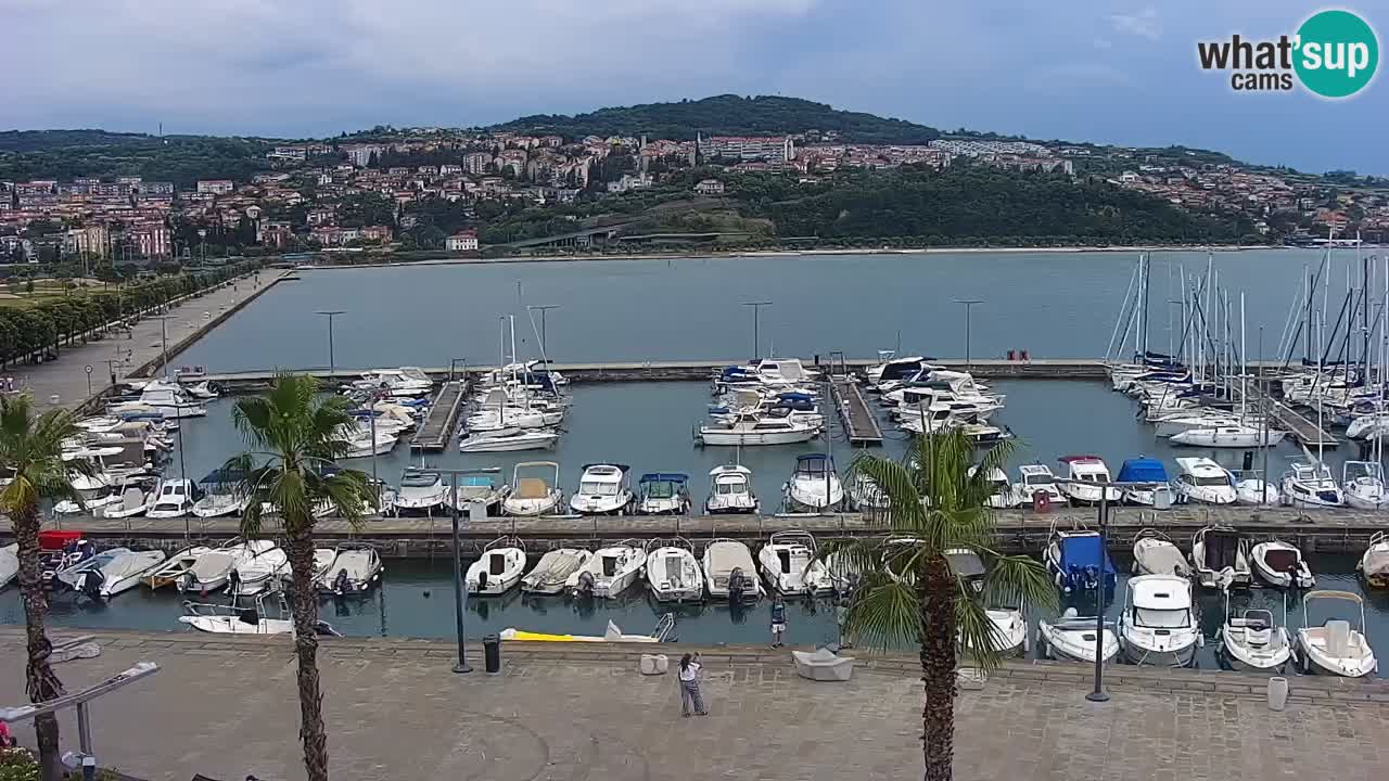 Livecam Koper – Ukmarjev trg
