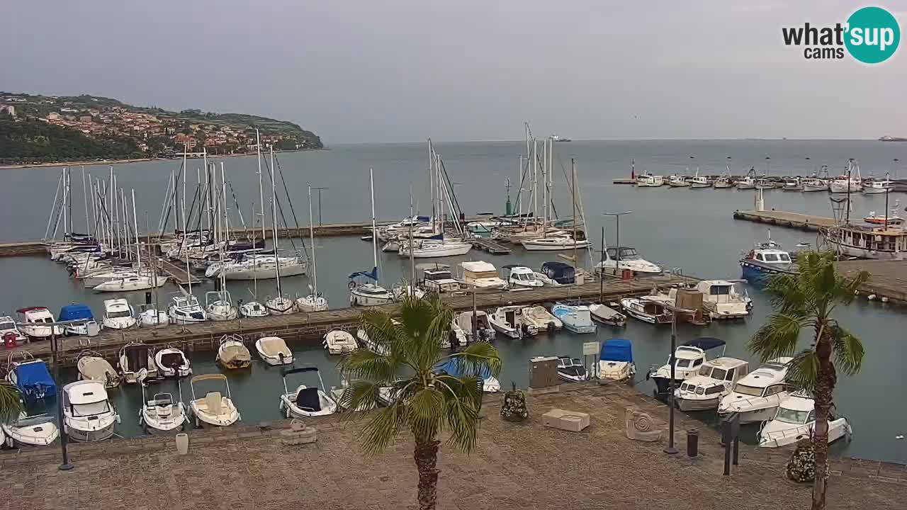 Webcam Koper – Ukmarjev trg