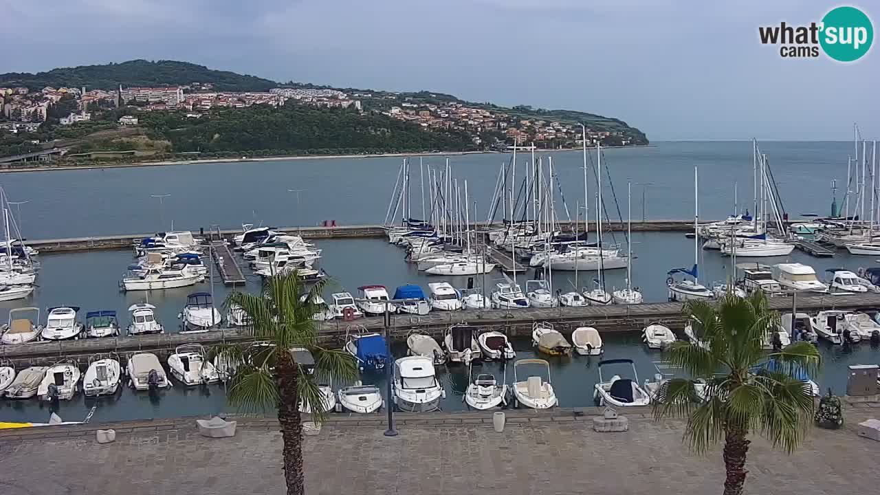 Il porto di Koper – Capodistria live webcam – porto crociere e mercantile – Slovenia