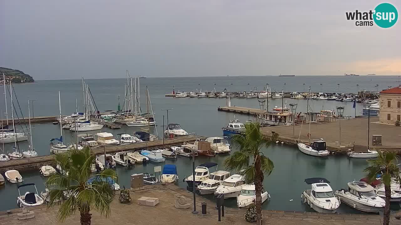 Webcam Capodistria – marina e lungo mare dall’Hotel Grand Koper