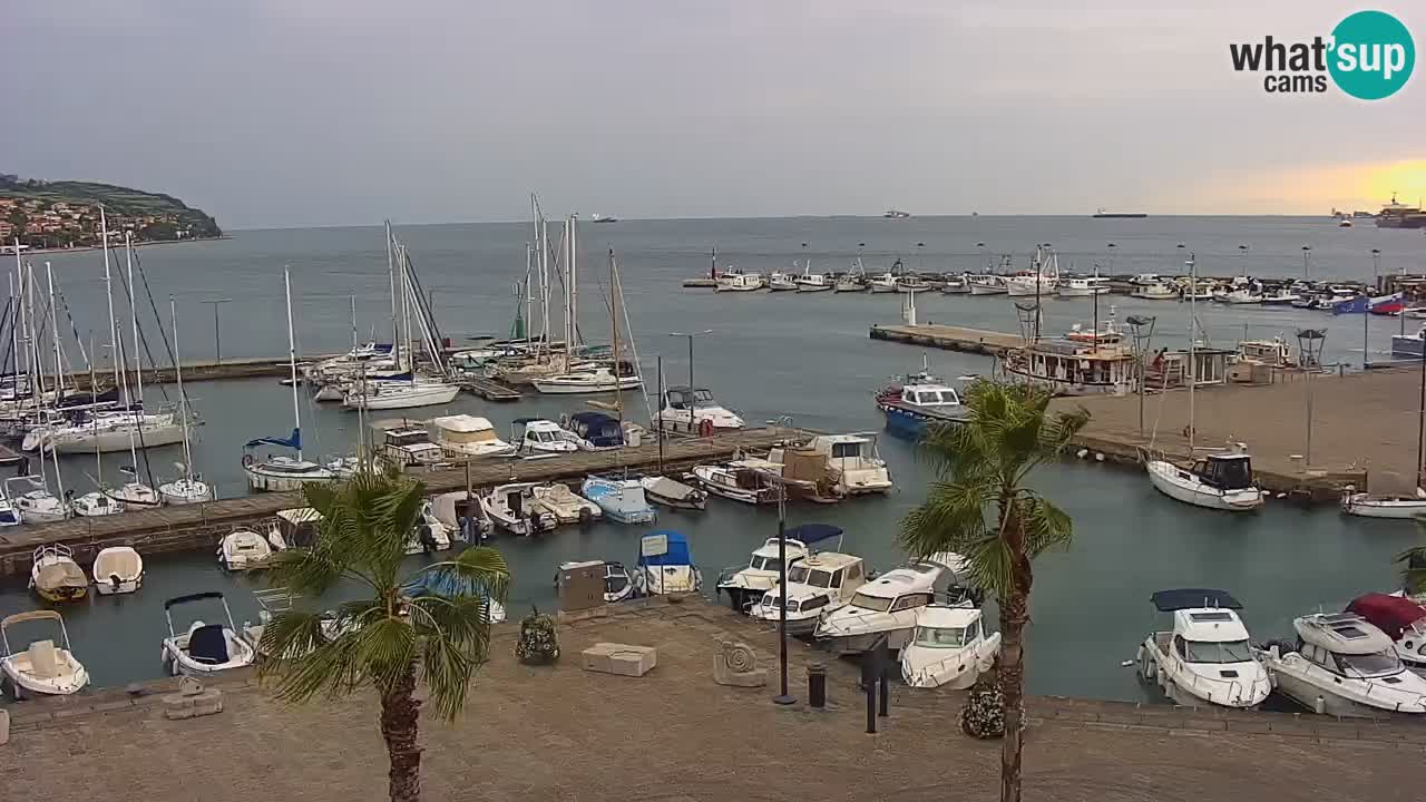 Webcam Capodistria – marina e lungo mare dall’Hotel Grand Koper