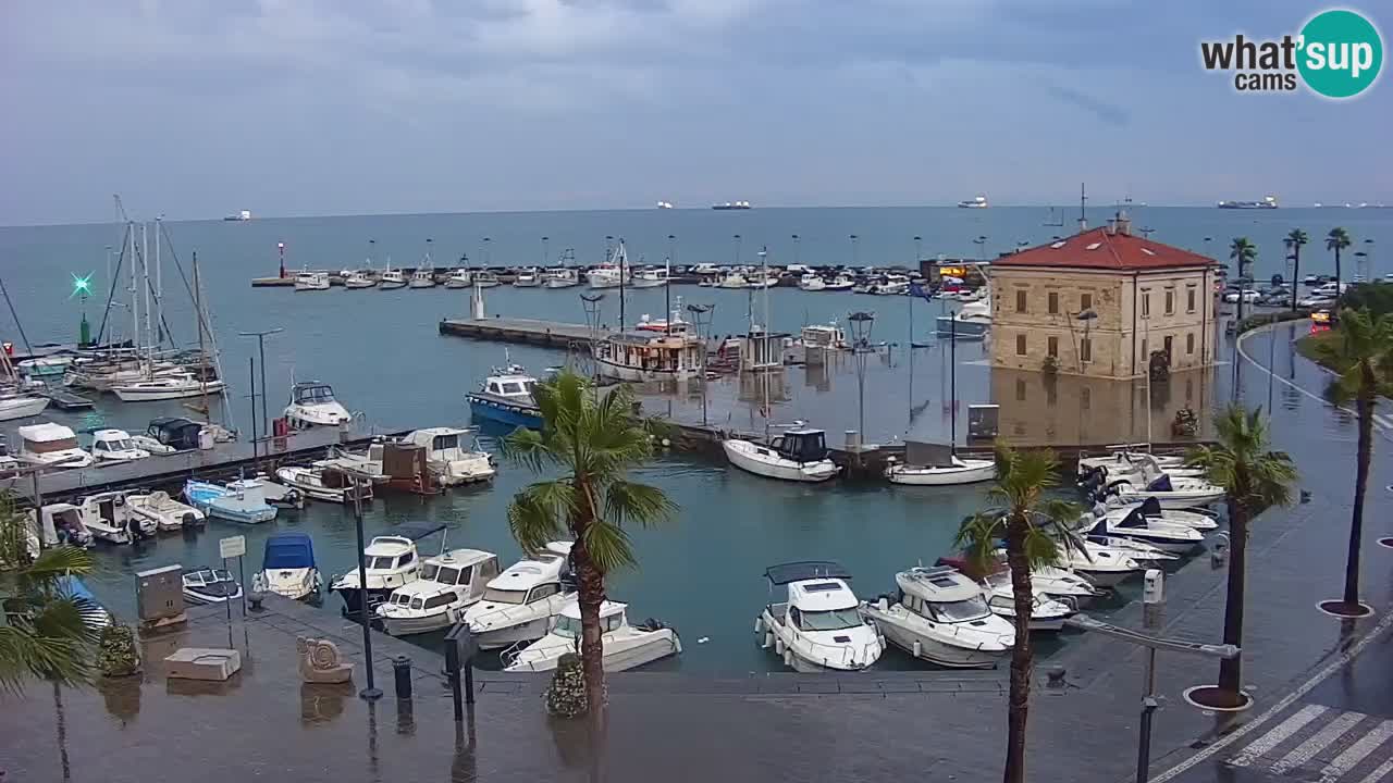 Spletna kamera Koper – Panorama na marino in promenado s Hotela Grand Koper