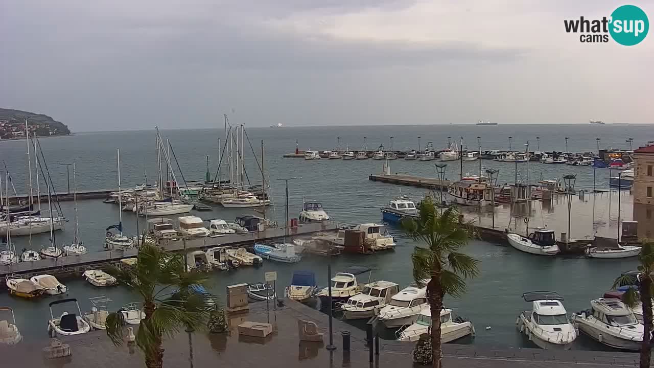 Livecam Koper – Ukmarjev trg